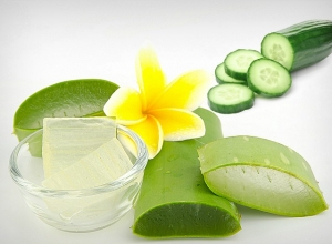 {Bật mí} Cây lô hội chữa trào ngược dạ dày hiệu quả sau 3 ngày thực hiện